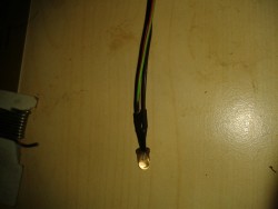 IMG_20130801_120402.jpg
