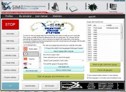 x-sim2.JPG