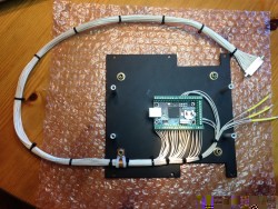 IMG_3861-Large.jpg