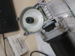 IMG_20190822_121055.jpg